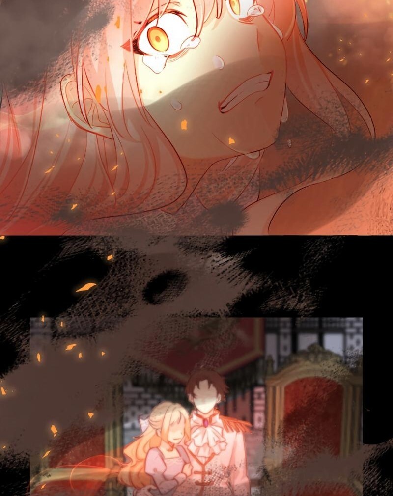 67008502 800 1010 142108