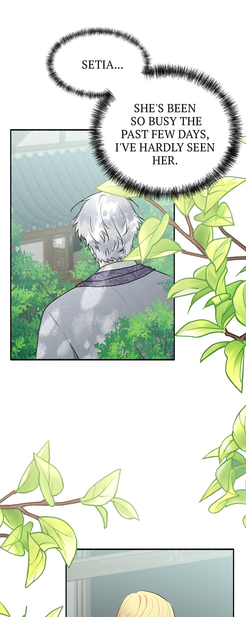 52281041 800 2000 237574